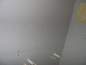 как зашпаклевать потолок из гипсокартона